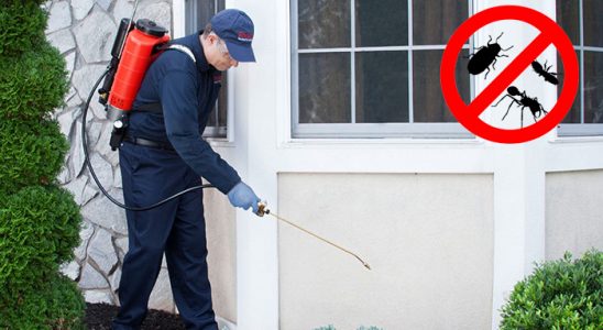 Pursaklar Gümüşkurt İlaçlama böcek ilaçlama ve haşere kontrolü — ilaclama-tr.com